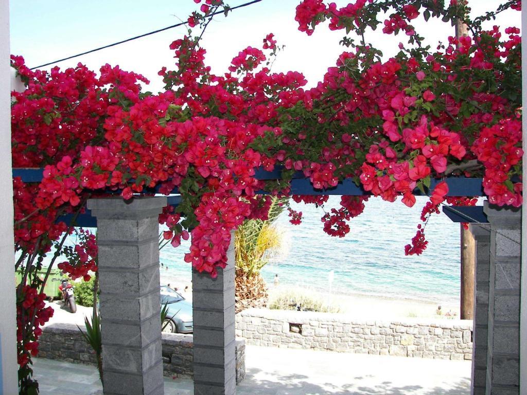 Theoxenia Chios Apartments Paralia Agias Foteinis Exterior foto